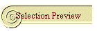 Selection Preview